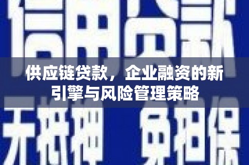 集贤供应链贷款，企业融资的新引擎与风险管理策略