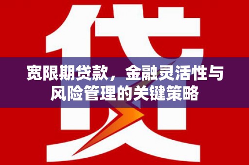 集贤宽限期贷款，金融灵活性与风险管理的关键策略