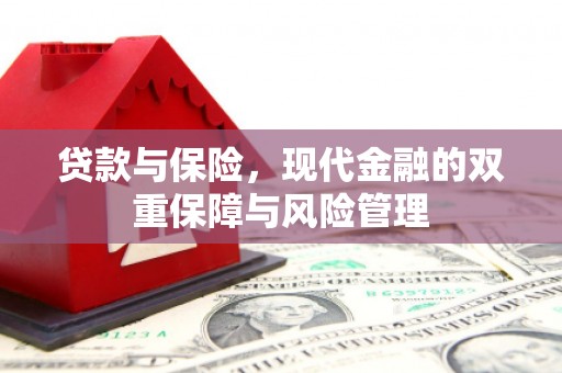 集贤贷款与保险，现代金融的双重保障与风险管理