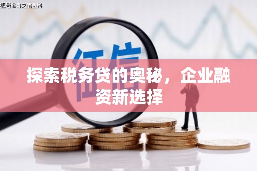 集贤探索税务贷的奥秘，企业融资新选择