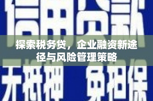 集贤探索税务贷，企业融资新途径与风险管理策略