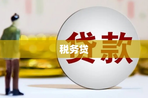 集贤税务贷