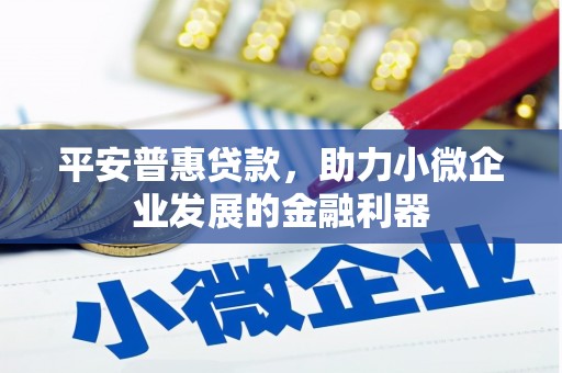 集贤平安普惠贷款，助力小微企业发展的金融利器