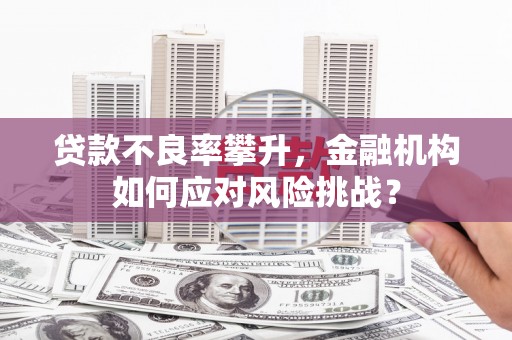集贤贷款不良率攀升，金融机构如何应对风险挑战？