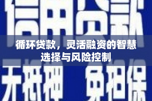 集贤循环贷款，灵活融资的智慧选择与风险控制