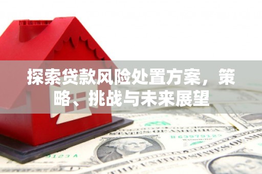 集贤探索贷款风险处置方案，策略、挑战与未来展望