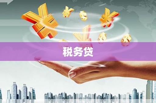 集贤税务贷
