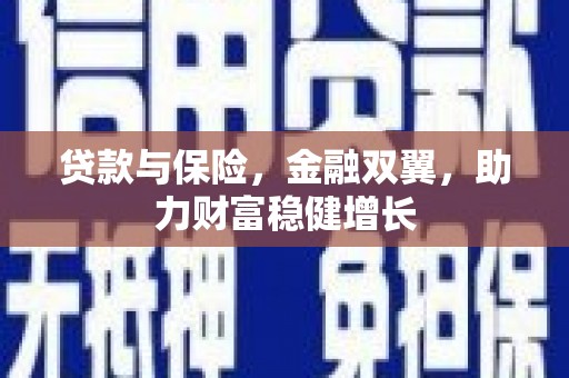 集贤贷款与保险，金融双翼，助力财富稳健增长