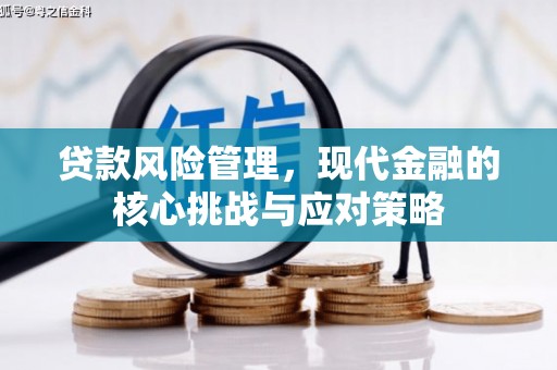 集贤贷款风险管理，现代金融的核心挑战与应对策略