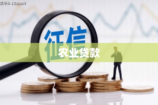 集贤农业贷款