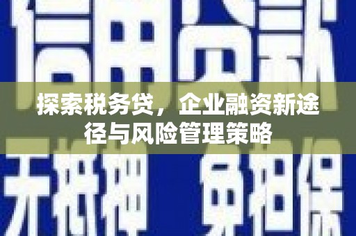 集贤探索税务贷，企业融资新途径与风险管理策略