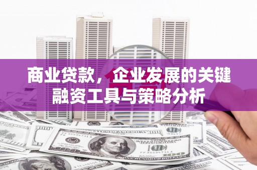 集贤商业贷款，企业发展的关键融资工具与策略分析