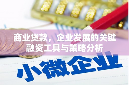 集贤商业贷款，企业发展的关键融资工具与策略分析