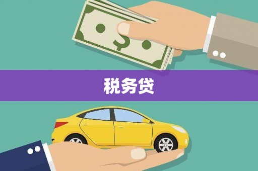 集贤税务贷
