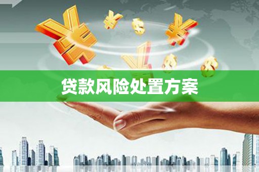 集贤贷款风险处置方案