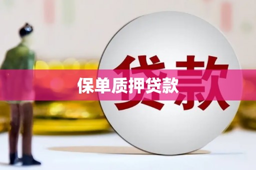集贤保单质押贷款