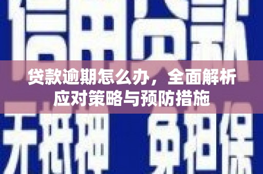 集贤贷款逾期怎么办，全面解析应对策略与预防措施