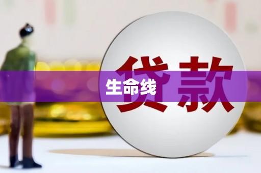 集贤生命线