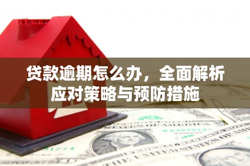 集贤贷款逾期怎么办，全面解析应对策略与预防措施