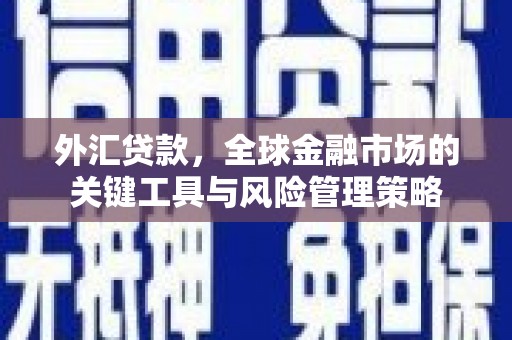集贤外汇贷款，全球金融市场的关键工具与风险管理策略