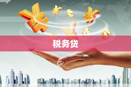 集贤税务贷