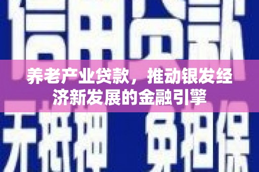 集贤养老产业贷款，推动银发经济新发展的金融引擎