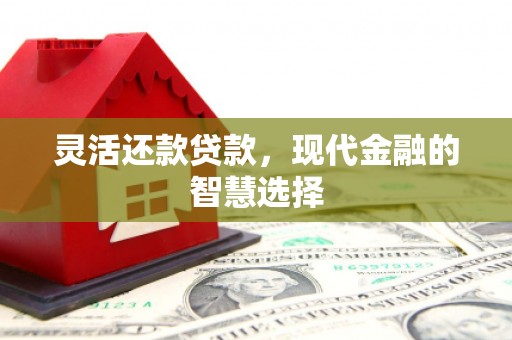 集贤灵活还款贷款，现代金融的智慧选择