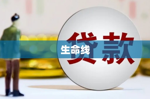 集贤生命线