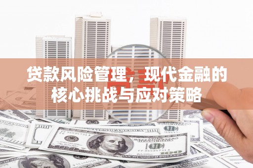 集贤贷款风险管理，现代金融的核心挑战与应对策略