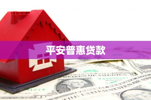 集贤平安普惠贷款