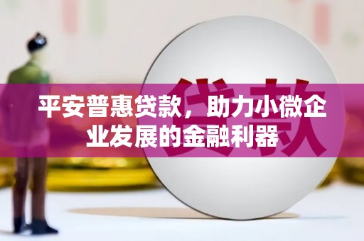 集贤平安普惠贷款，助力小微企业发展的金融利器