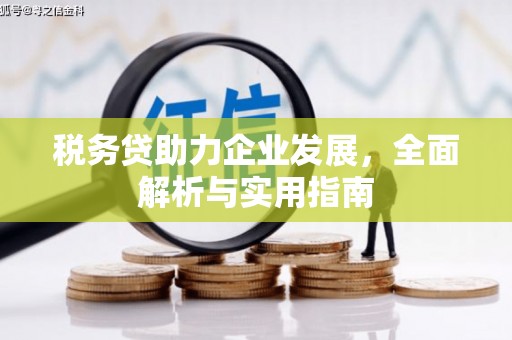 集贤税务贷助力企业发展，全面解析与实用指南