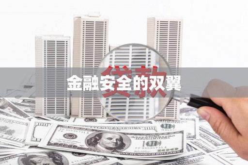 集贤金融安全的双翼