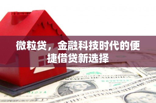 集贤微粒贷，金融科技时代的便捷借贷新选择