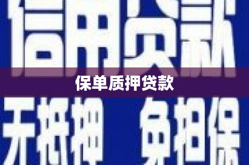 集贤保单质押贷款