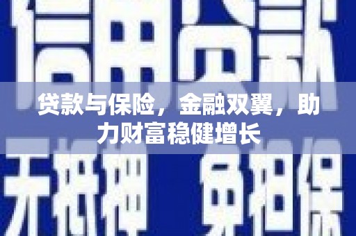 集贤贷款与保险，金融双翼，助力财富稳健增长