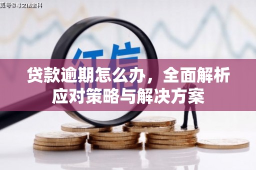 集贤贷款逾期怎么办，全面解析应对策略与解决方案
