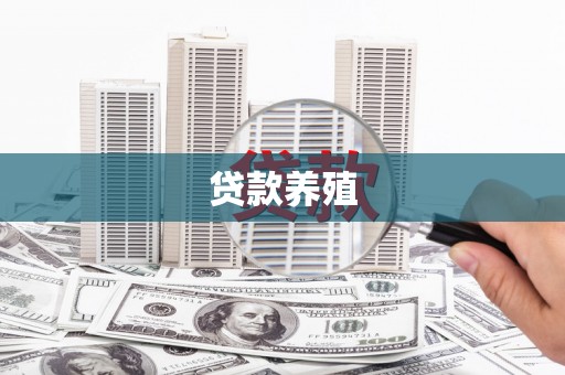集贤贷款养殖