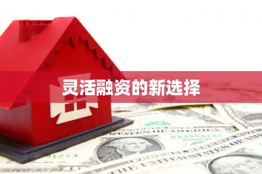 集贤灵活融资的新选择