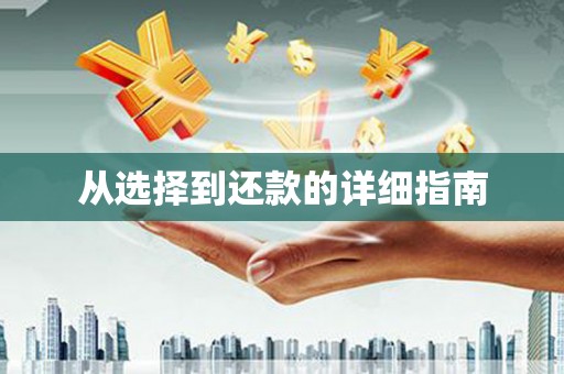 集贤从选择到还款的详细指南