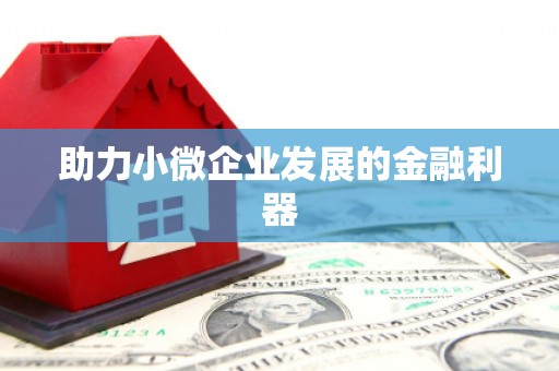 集贤助力小微企业发展的金融利器