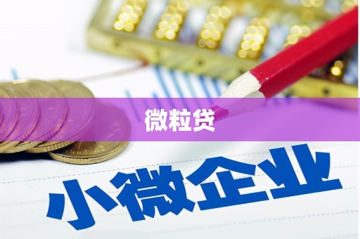 集贤微粒贷