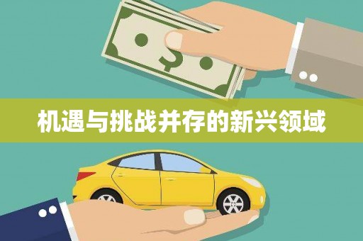 集贤机遇与挑战并存的新兴领域