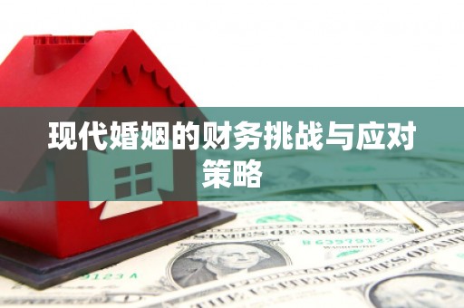 集贤现代婚姻的财务挑战与应对策略
