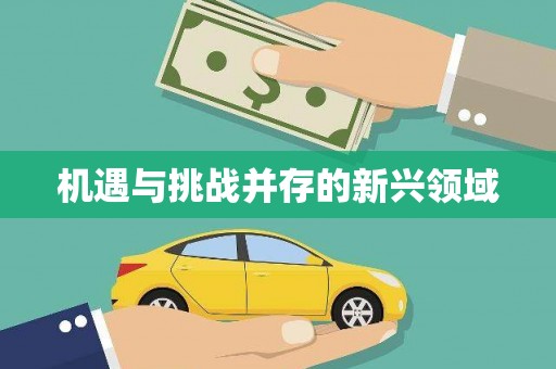 集贤机遇与挑战并存的新兴领域