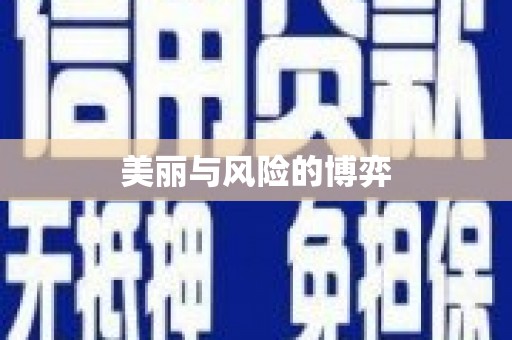集贤美丽与风险的博弈