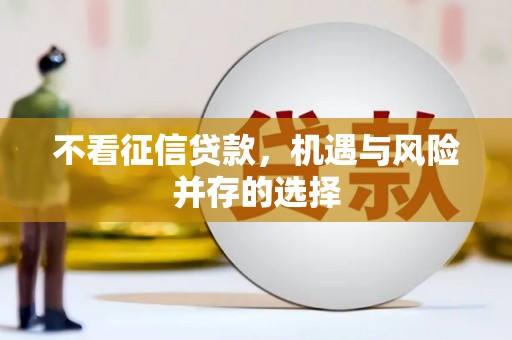 集贤不看征信贷款，机遇与风险并存的选择