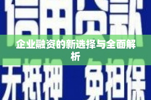 集贤企业融资的新选择与全面解析