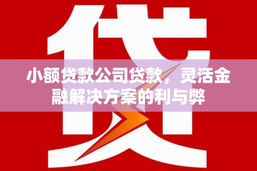 集贤小额贷款公司贷款，灵活金融解决方案的利与弊