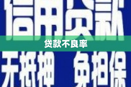 集贤贷款不良率